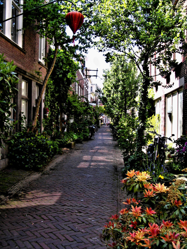 Het mooiste straatje van Haarlem