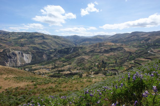 Andesgebergte van Ecuador