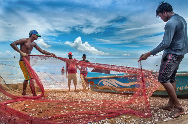 De vissers van Negombo