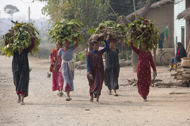Hout gesprokkeld in Nepal