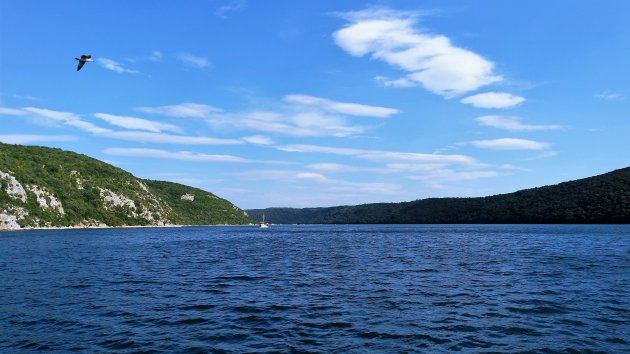 Limskifjord