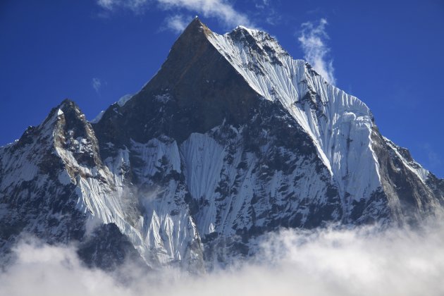 Zicht op de Himalaya reuzen