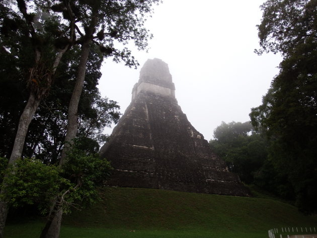 Tikal - Guatemala - de eerste tempel in de vroege ochtend