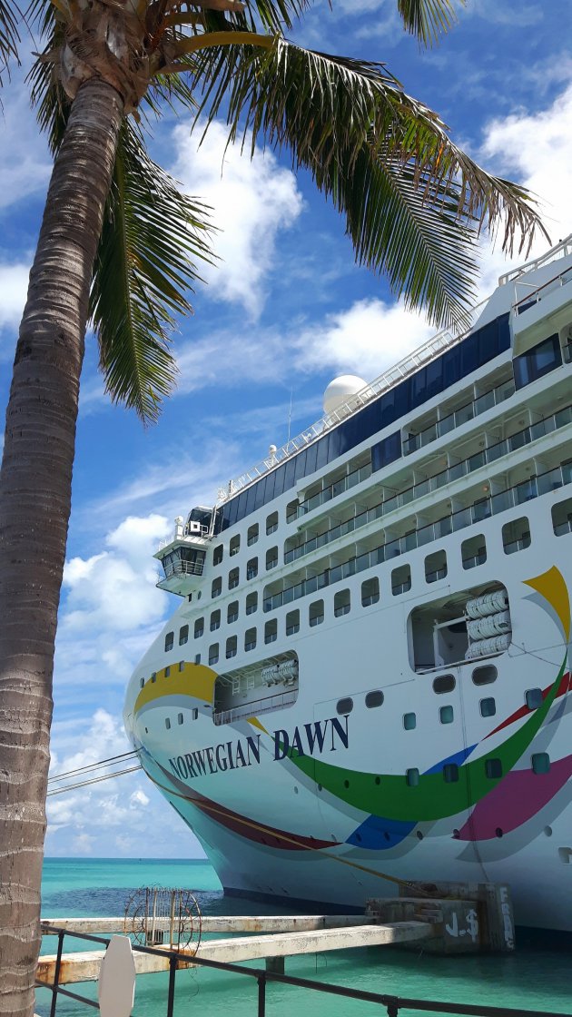 Bermuda cruise!
