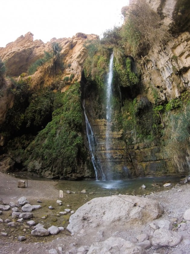 Wadi David - een oase van leven naast de Dode Zee