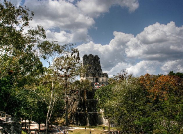 Mooi Tikal