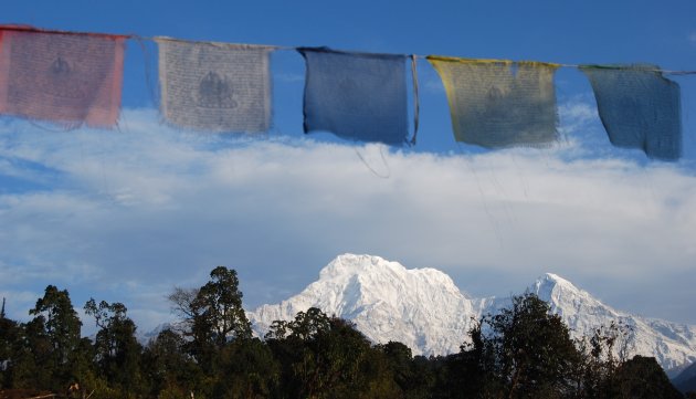 Annapurna view