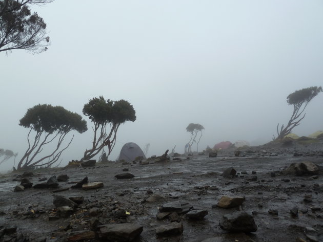 Avontuurlijk op de Kilimanjaro
