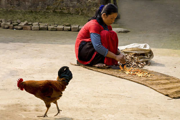 Vrouw met kip