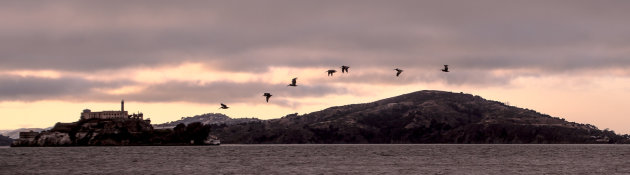 Pelikanen boven Alcatraz
