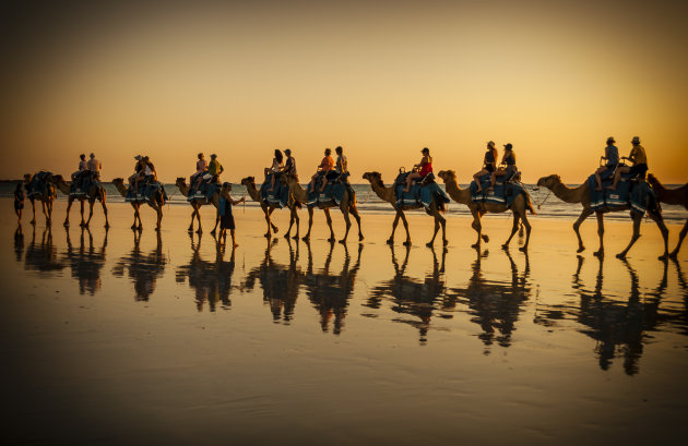 Camel tour on Cable beach