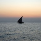 profile image Zanzibar