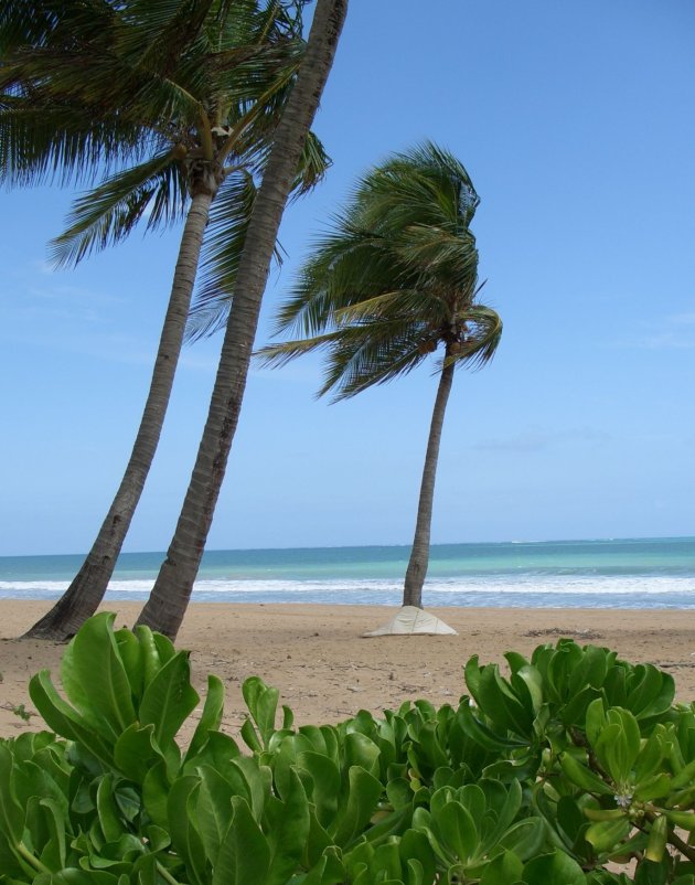 Strand op Puerto Rico