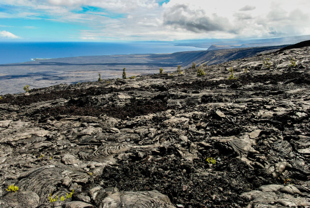 De opgedroogde lavavelden van Hawaii
