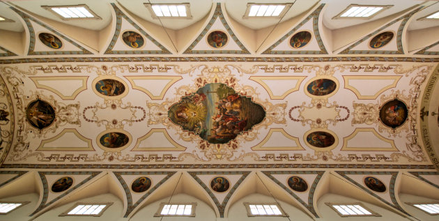 Plafond Kathedraal van St. Louis